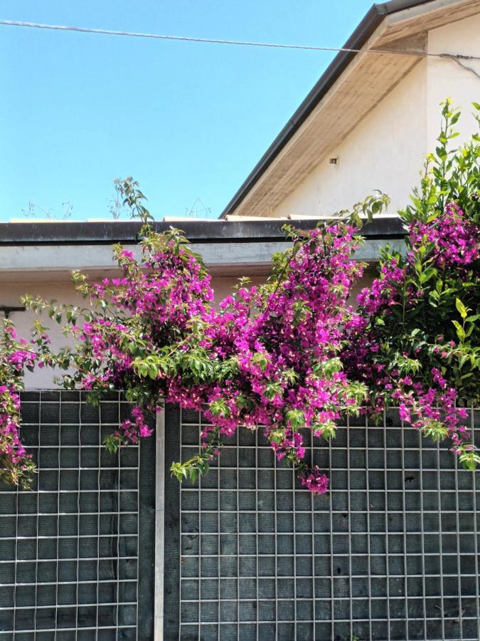 Bouganville A Apartament B&B チヴィタノーヴァ・マルケ エクステリア 写真