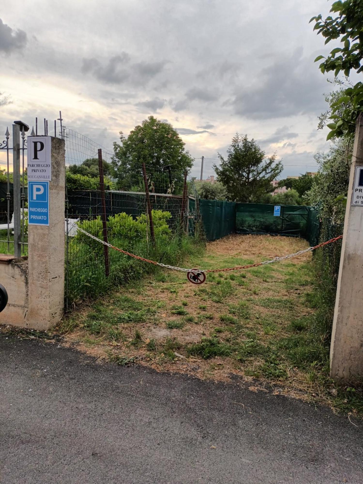 Bouganville A Apartament B&B チヴィタノーヴァ・マルケ エクステリア 写真